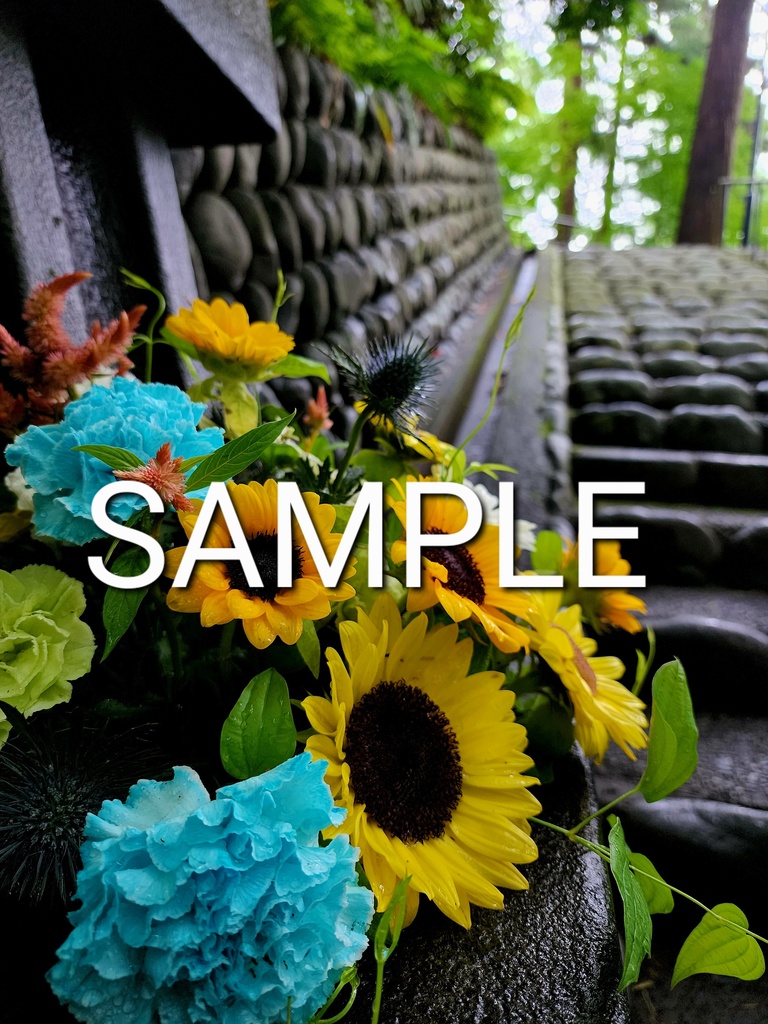 参道を飾る花々