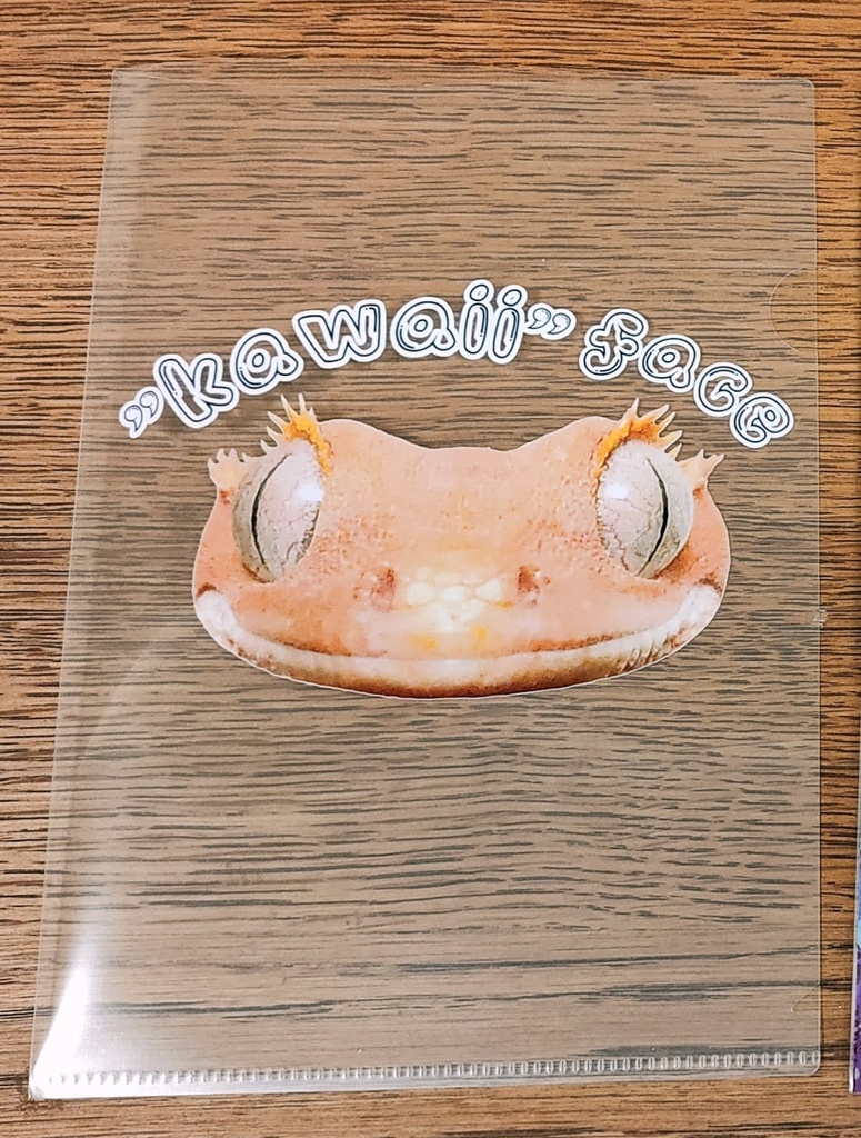 "kawaii" face クリアファイル