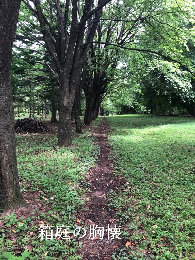 箱庭の胸懐　一（DL版）