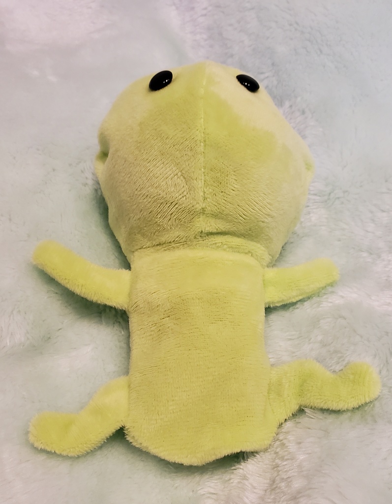 ※B級品※ カエル寝そべりぬい服 名探偵コナン