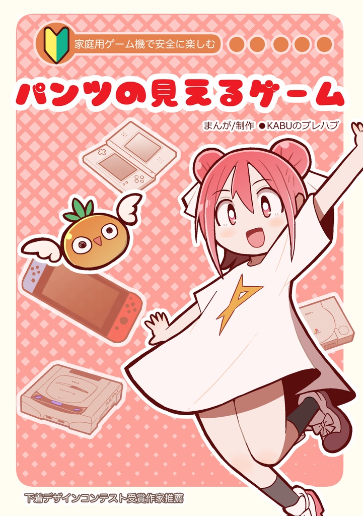 家庭用ゲーム機で安全に楽しむ  パンツの見えるゲーム