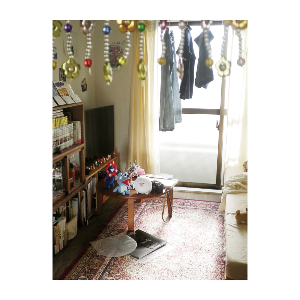 こぼれる朝、抱えたひかり