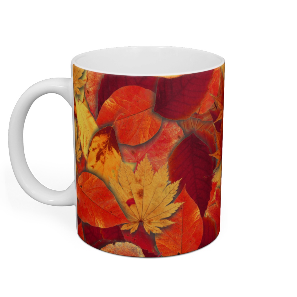 落葉いっぱいマグ