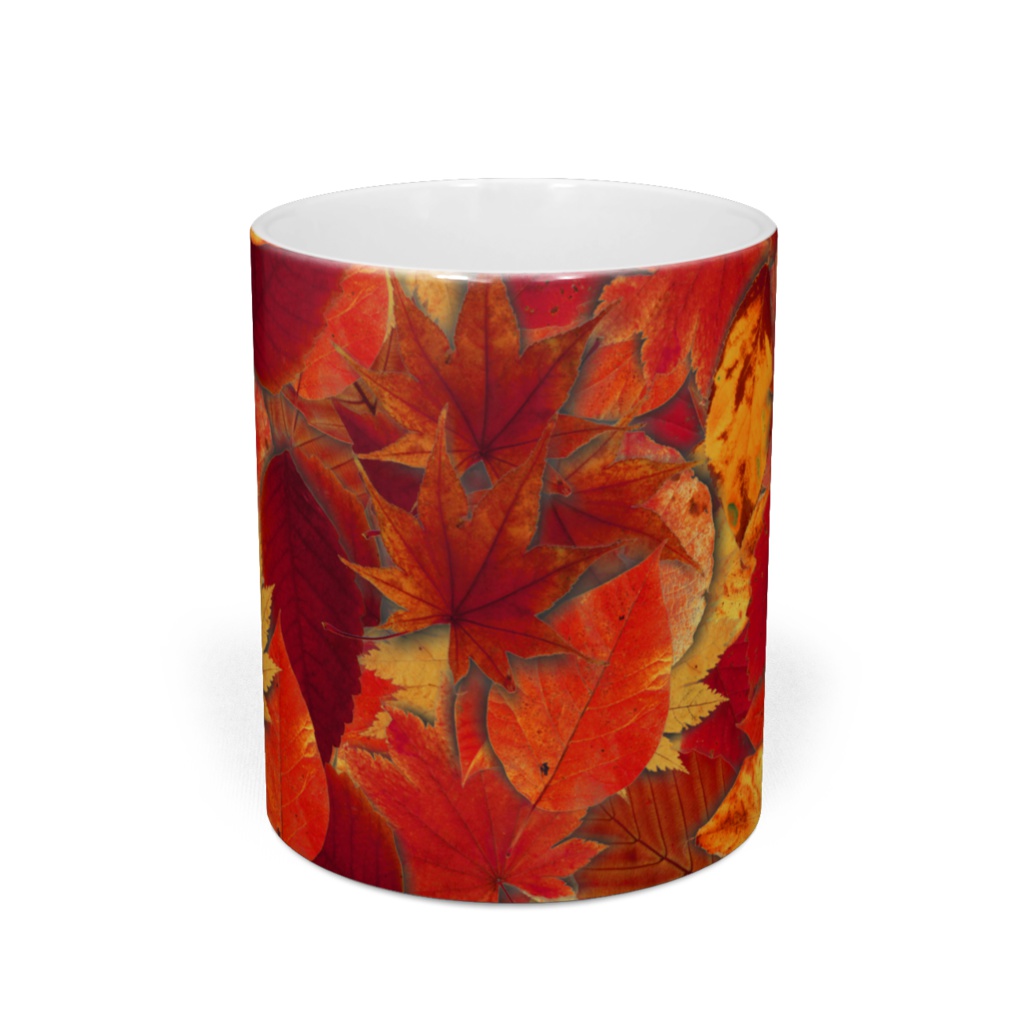 落葉いっぱいマグ