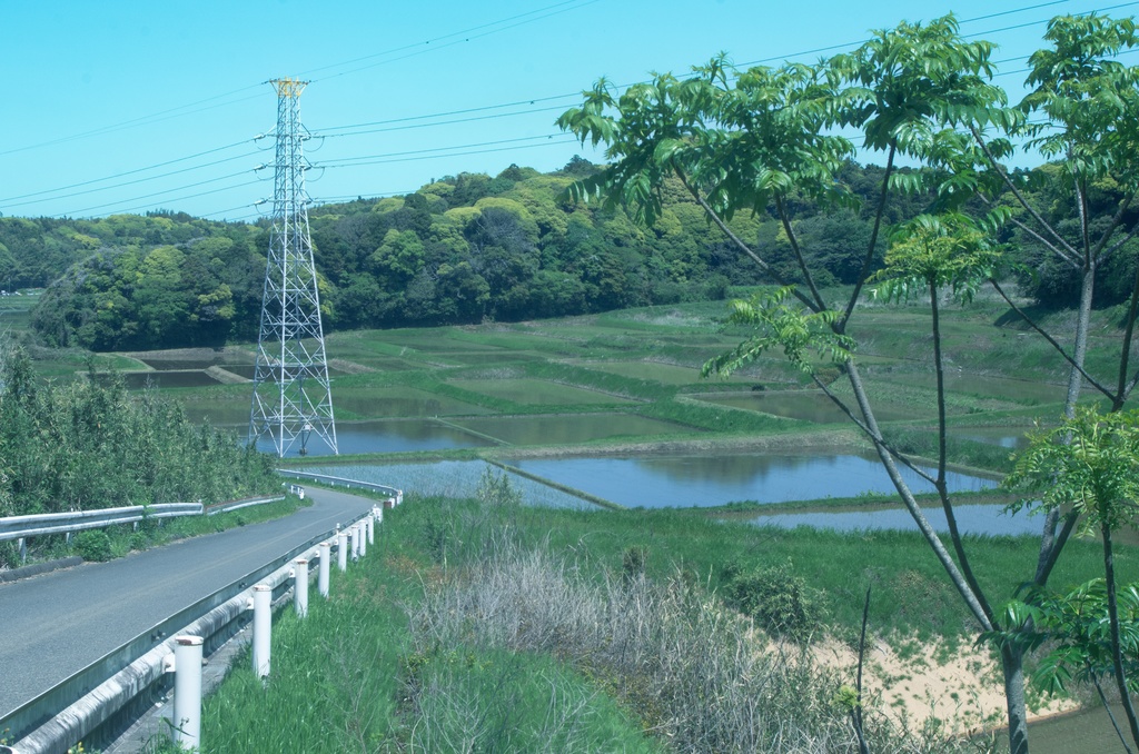 Lightroomプリセット 夏 アニメ調