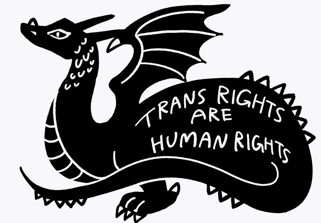 TRANS RIGHTS ARE HUMAN RIGHTS !!🏳️⚧️ドラゴンさん
