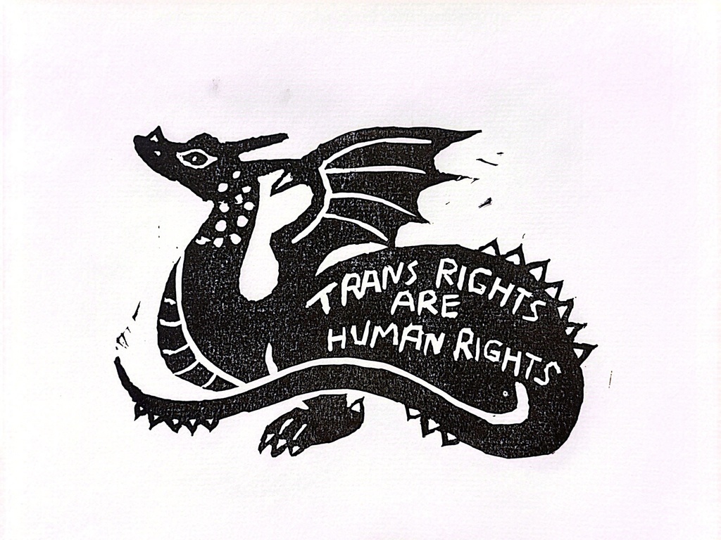 TRANS RIGHTS ARE HUMAN RIGHTS !!🏳️‍⚧️ドラゴンさん