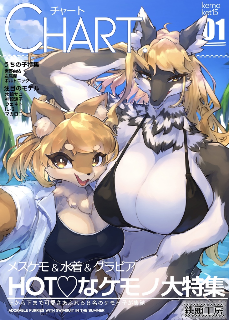 【けもケット15 新刊】CHART.