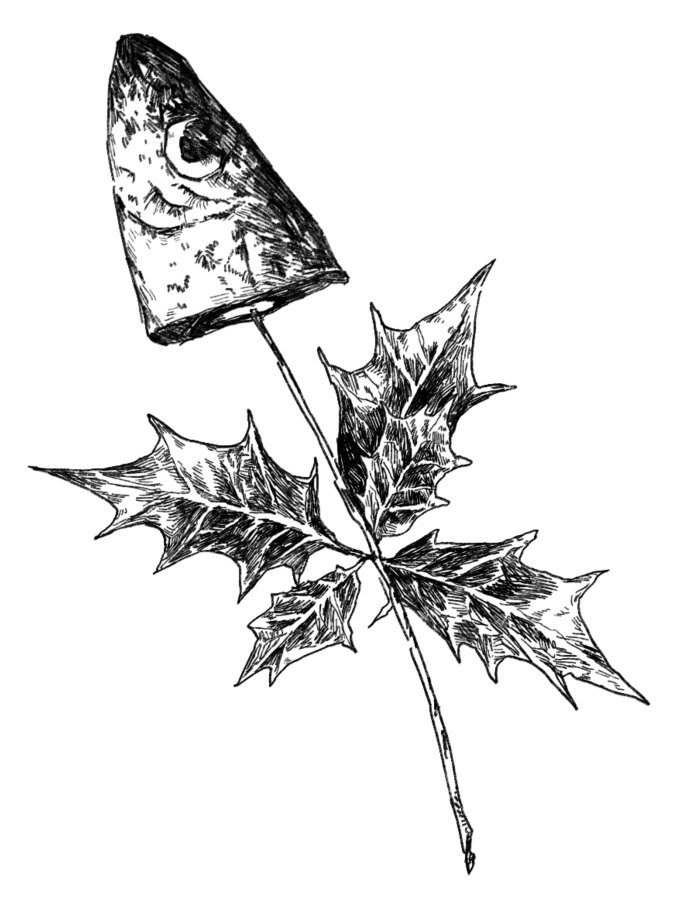 【無料】柊鰯/透過ペン画
