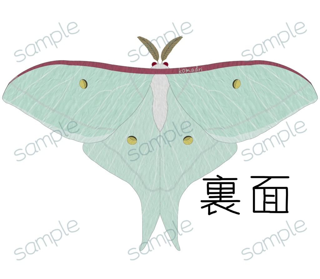 オオミズアオのTシャツ 両面