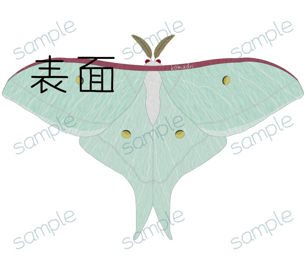 オオミズアオのTシャツ 片面(表)