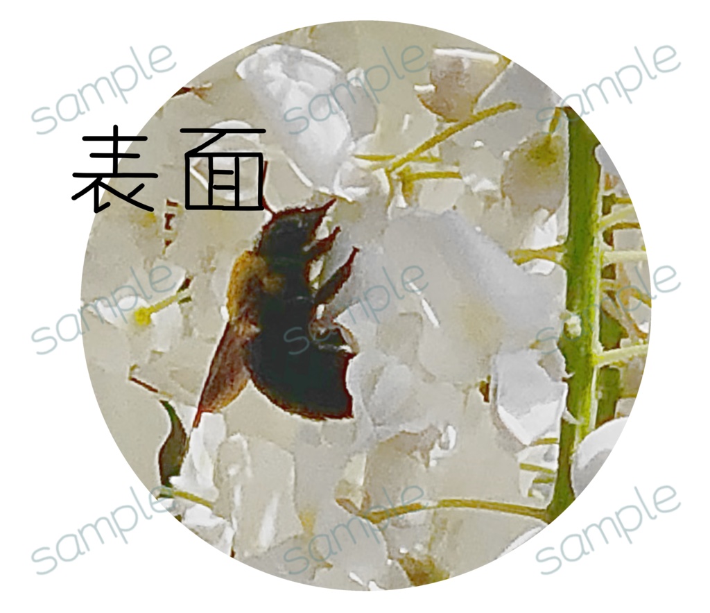 クマバチのTシャツ 両面