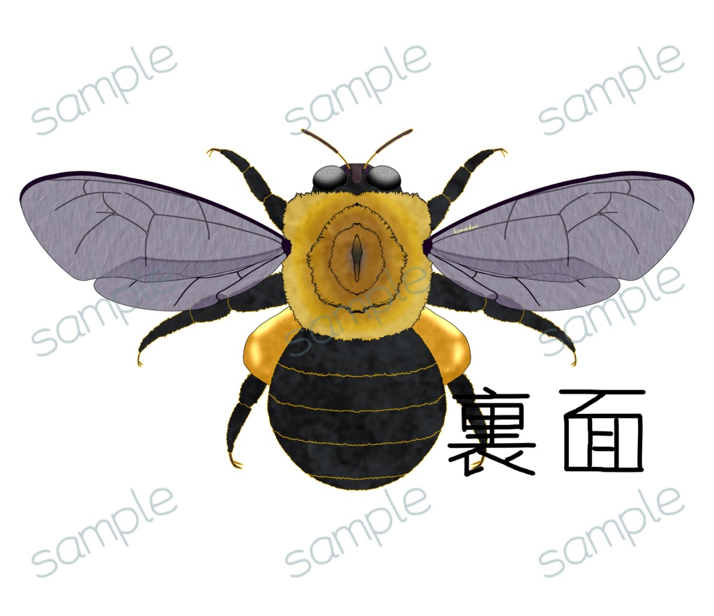 クマバチのTシャツ 両面