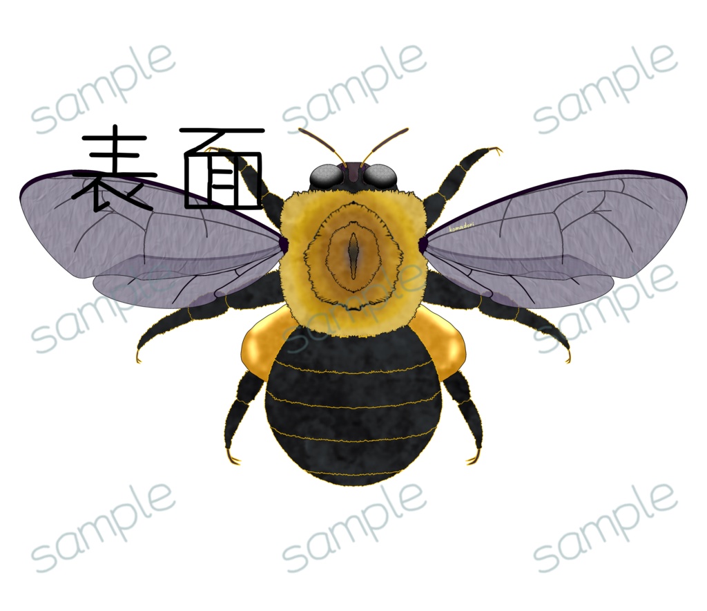 クマバチのTシャツ 片面(表)