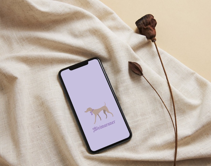 犬のスマホ壁紙6枚セット(柴犬/ビションフリーゼ/ダックスフント/プードル/ワイマラナー/ドーベルマン)