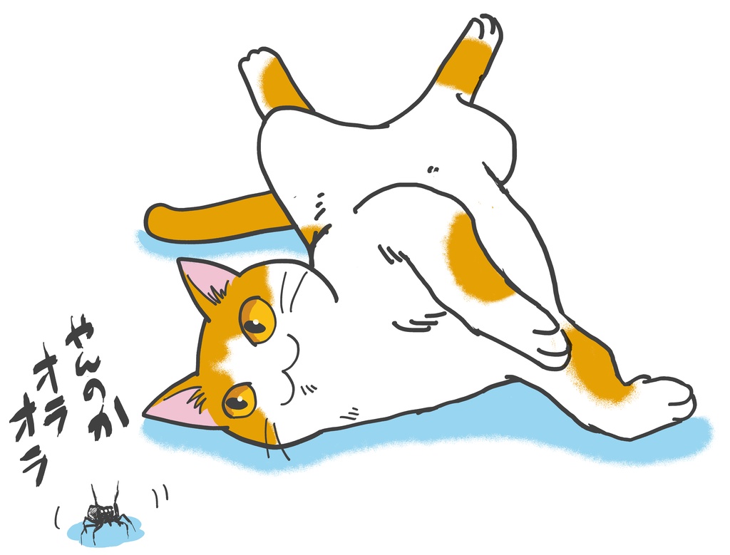 猫VSハエトリグモ