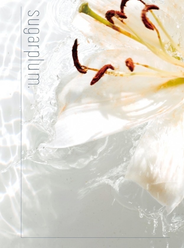 【2/26価格改定】sugarplum.