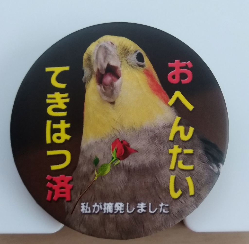 おへんたいてきはつ缶バッジ - オカメインコのそらおくん - BOOTH