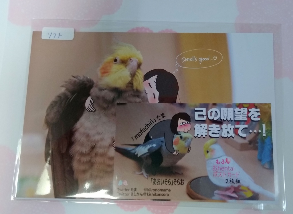 ポストカード（２枚組：ソフト）