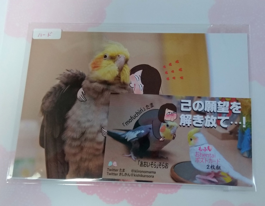 ポストカード（２枚組：ハード）