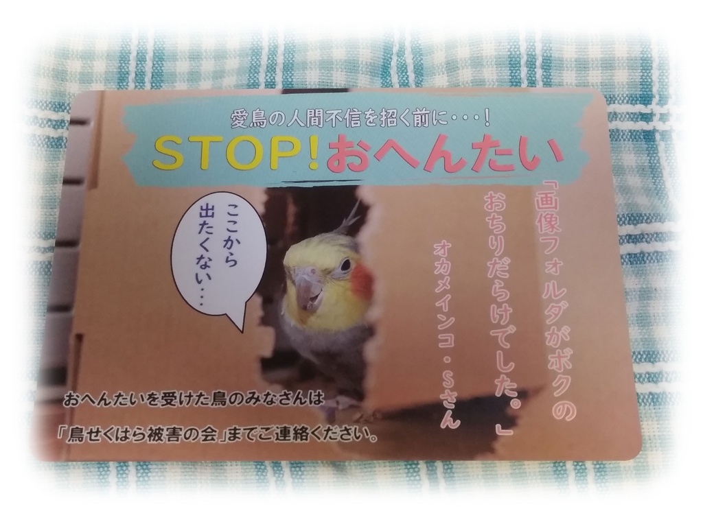 ポストカード（鳥せくはら被害の会）