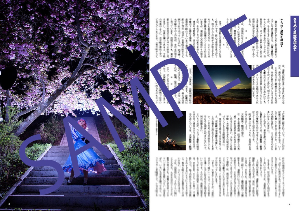 Cosplay & Cars vol.2 (電子書籍版)