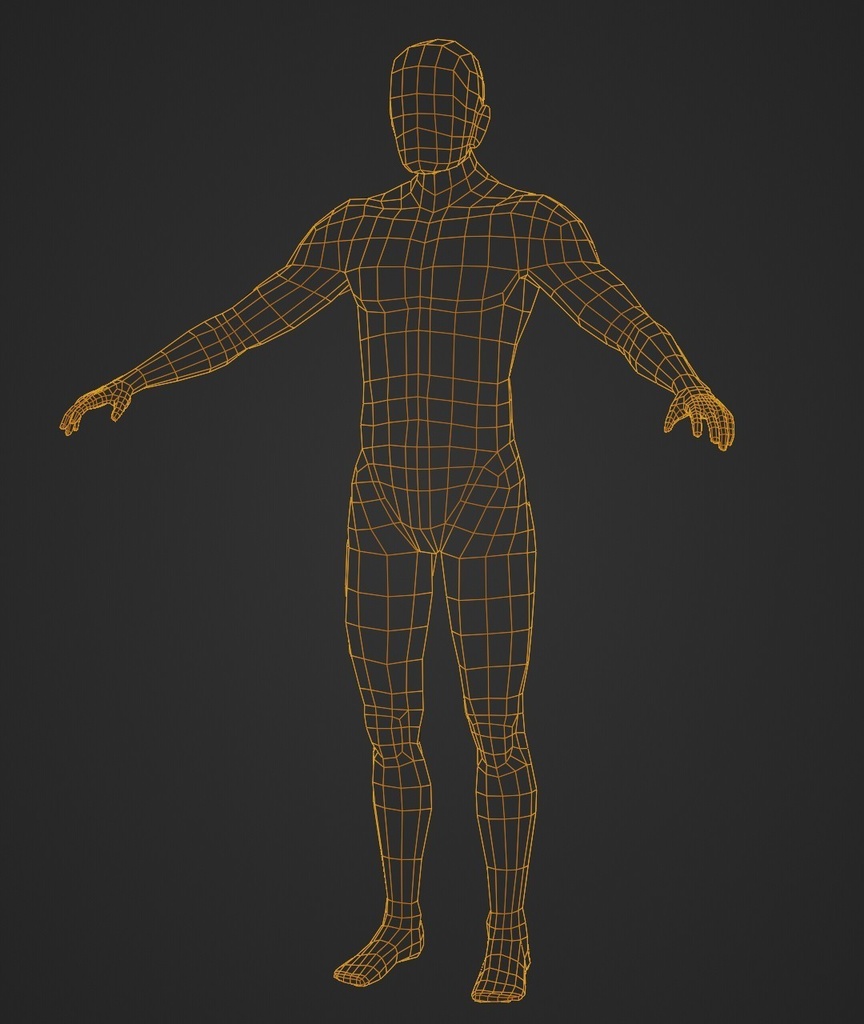 3DCG人体モデル (ハイポリ・ローポリ)