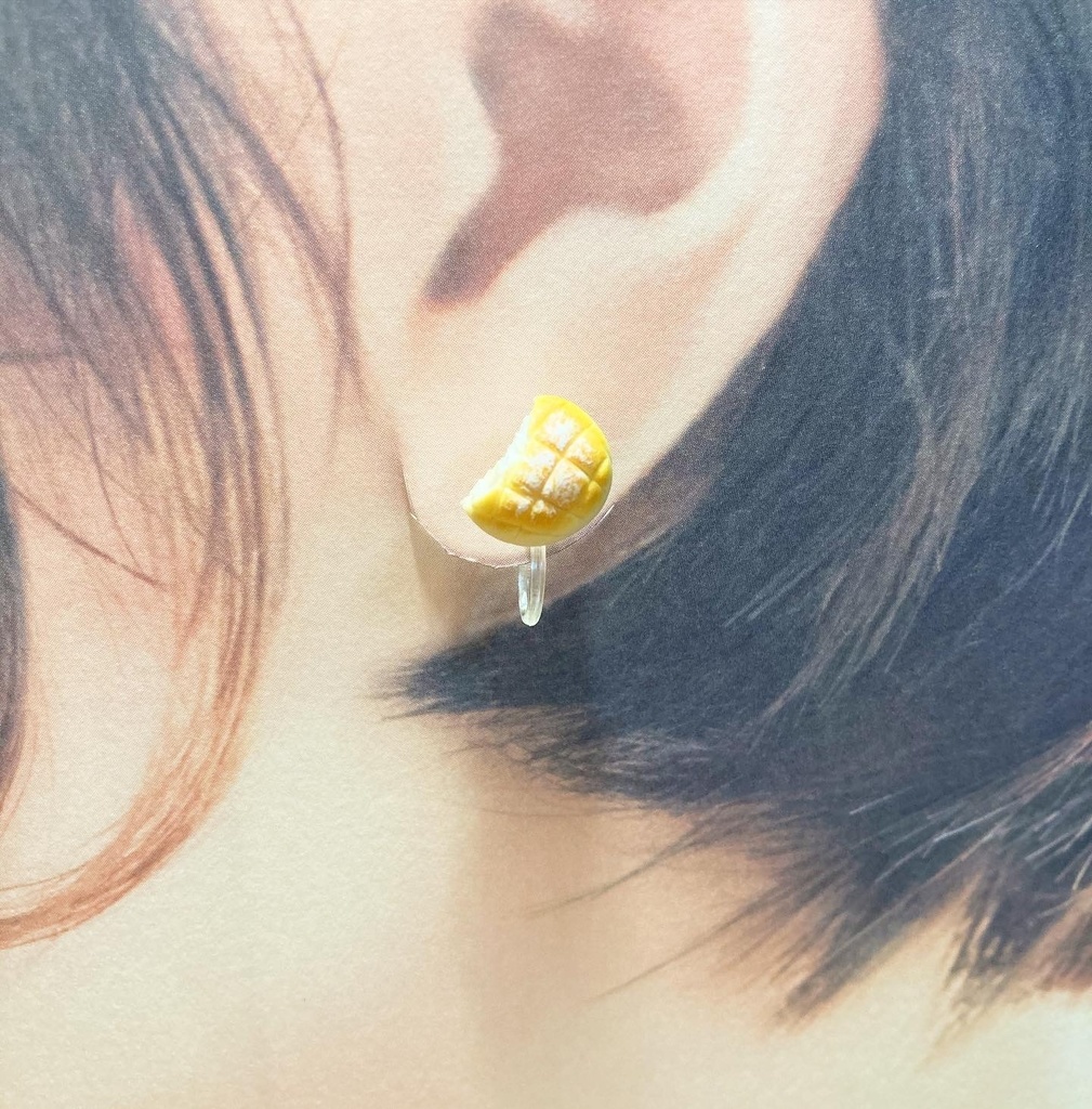 パンノンホールピアス