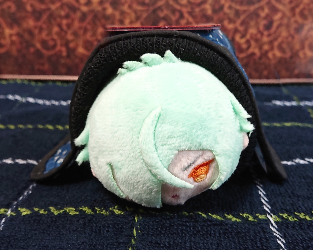 もちマス用こたつ(青)