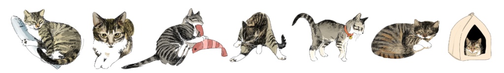 碧玉ちゃんマスキングテープ