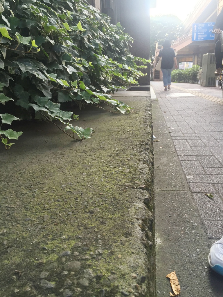 Z市マンション2(ハイパース&望遠)