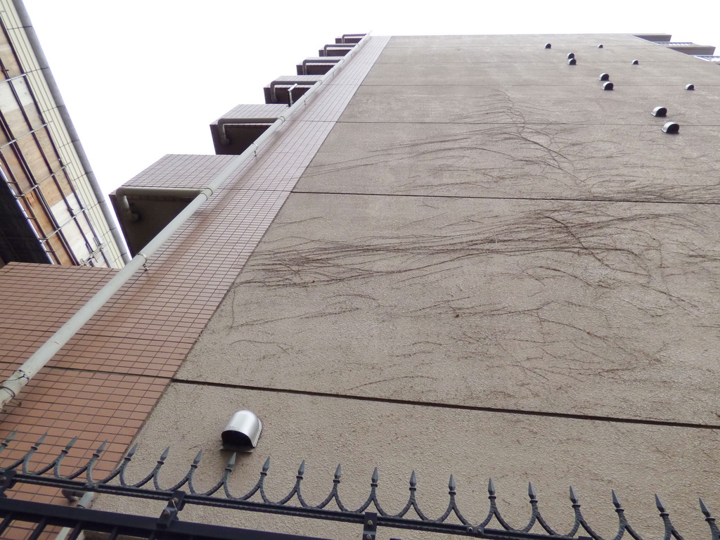 Z市マンション2(ハイパース&望遠)