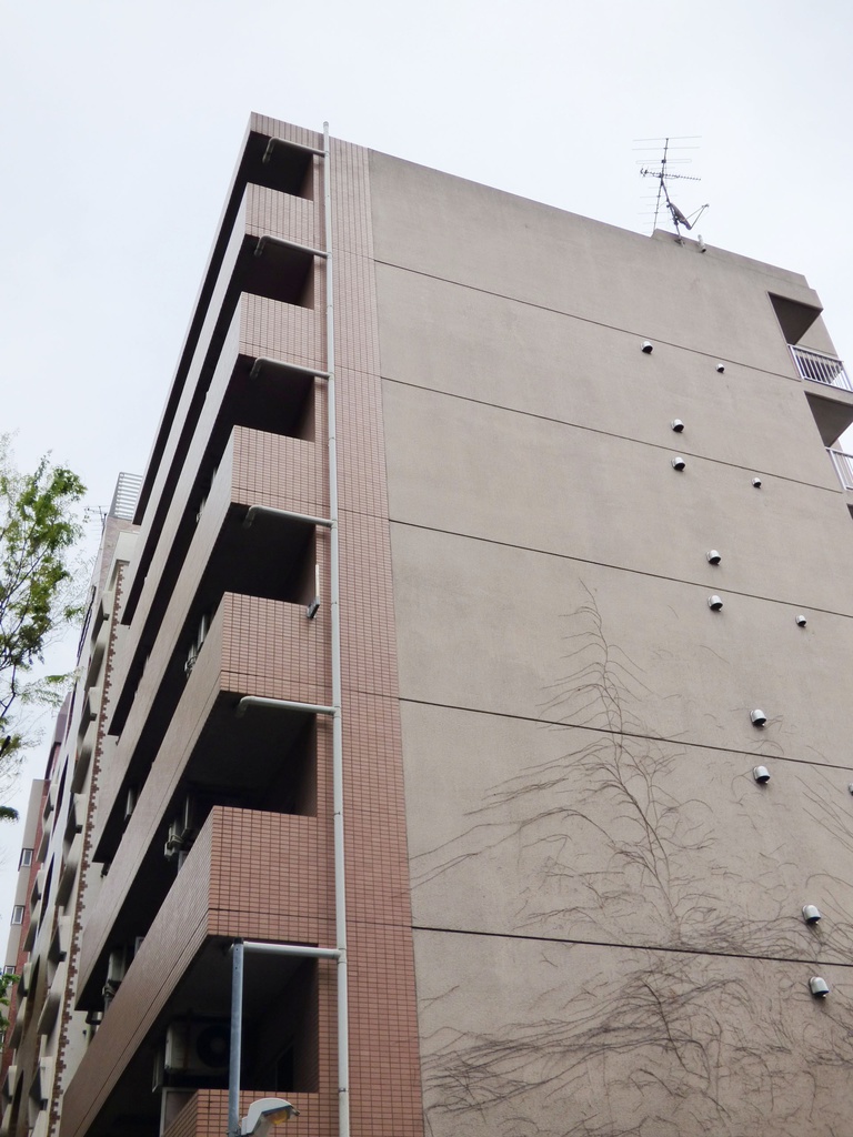 Z市マンション2(ハイパース&望遠)