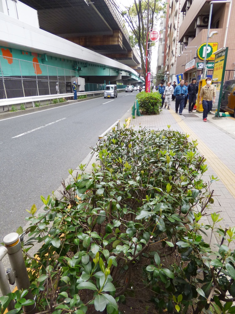 Z市マンション2(ハイパース&望遠)