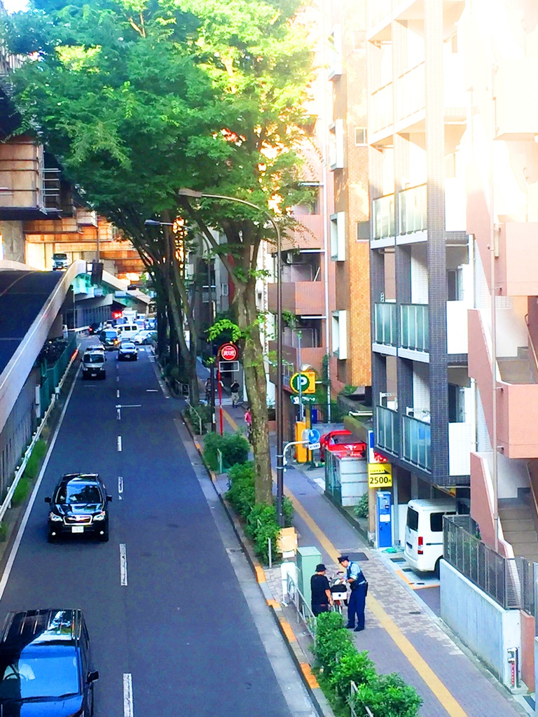 Z市マンション2(ハイパース&望遠)