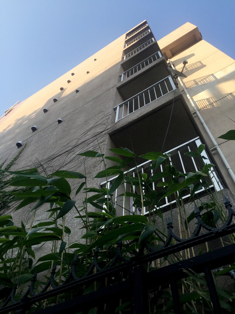 Z市マンション2(ハイパース&望遠)