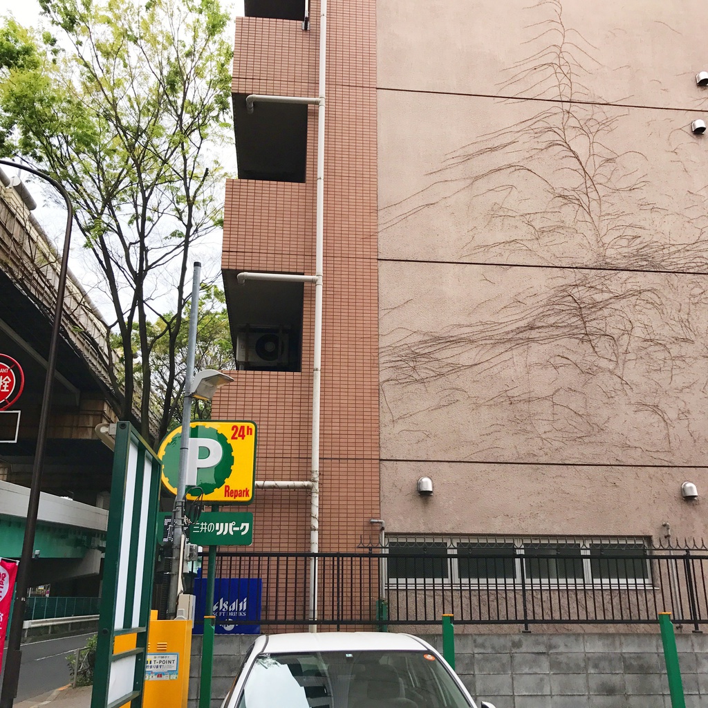 Z市マンション2(ハイパース&望遠)