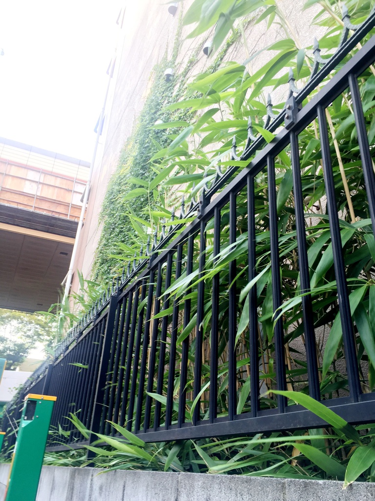 Z市マンション2(ハイパース&望遠)