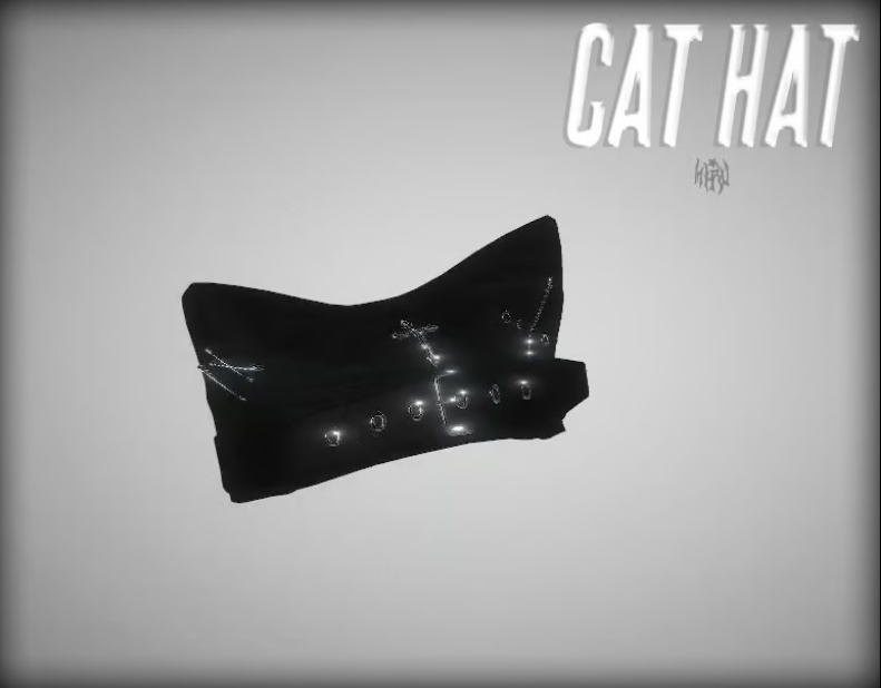 ☆ "cat hat"