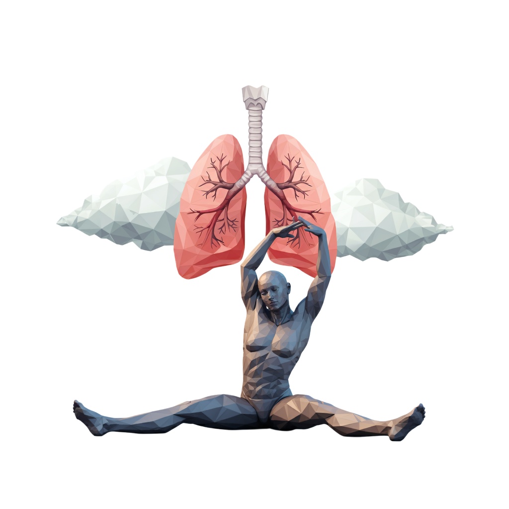 肺とストレッチ イラスト(375497)