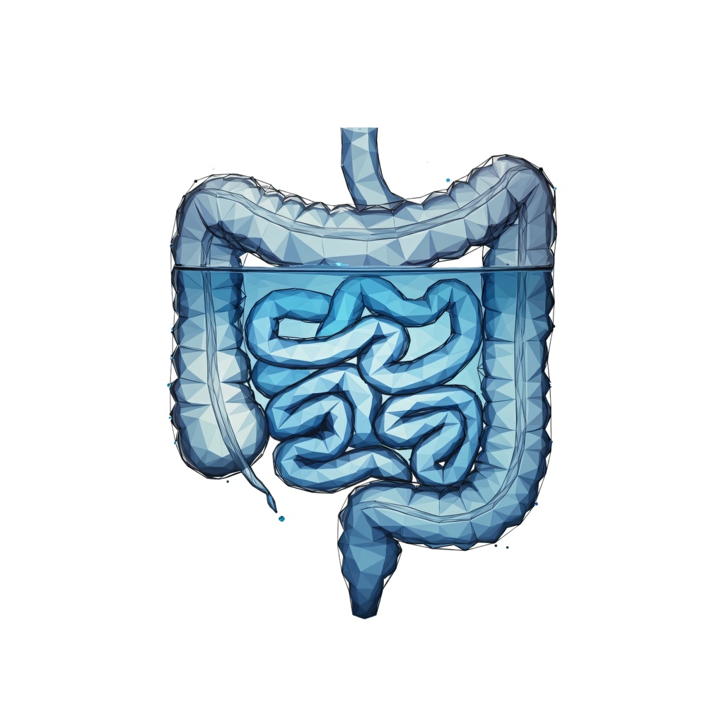 腸 イラスト(607543)