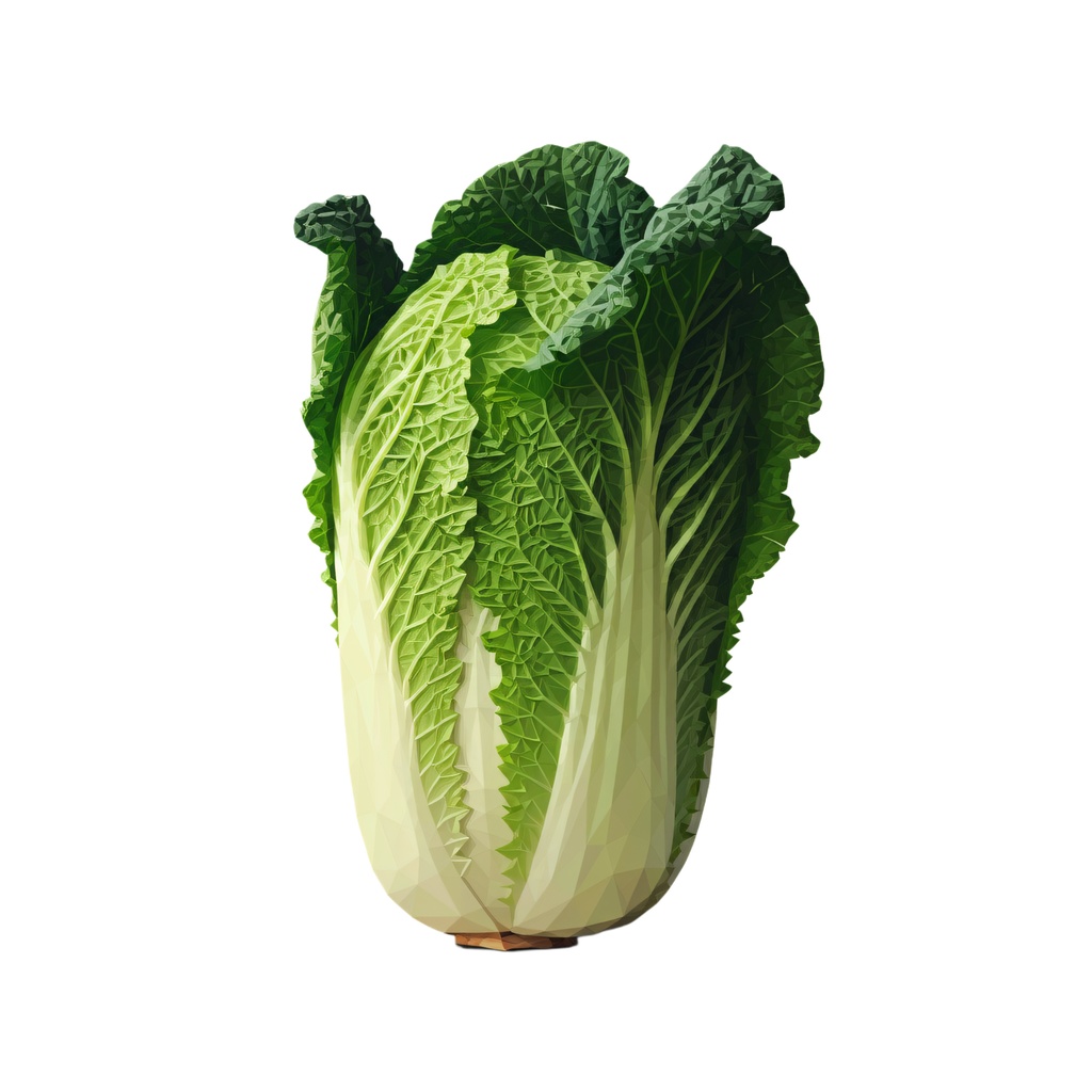 野菜 イラスト(749742)