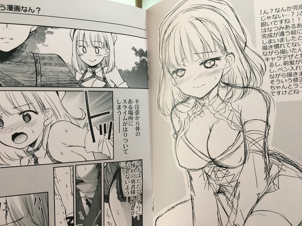 スライムとおんなのこのエッチィ漫画の設定資料な本