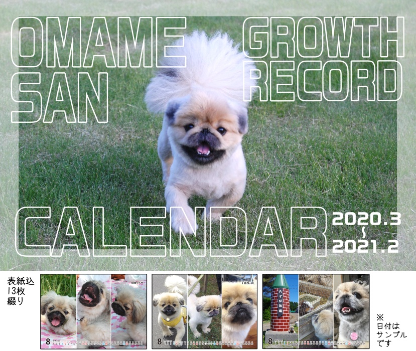 シャンプーイラストトーク本+おまめさんカレンダー