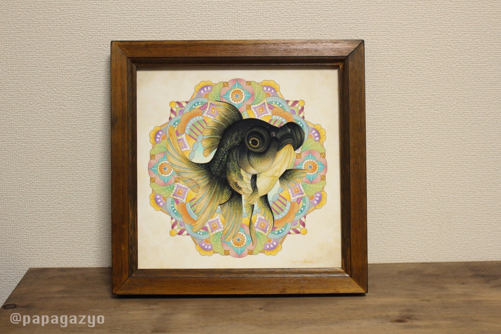 原画：黒出目金