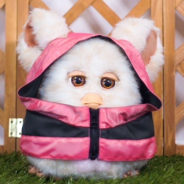 マウンテンパーカー ⌑ネオンピンク⌑