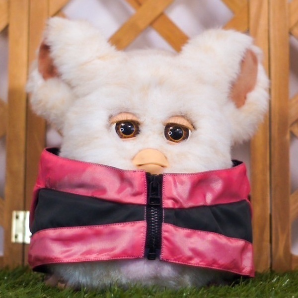 マウンテンパーカー ⌑ネオンピンク⌑