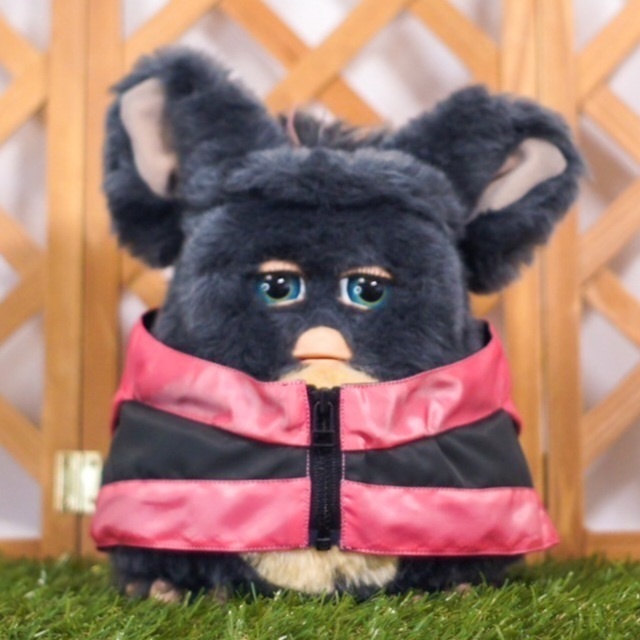 マウンテンパーカー ⌑ネオンピンク⌑