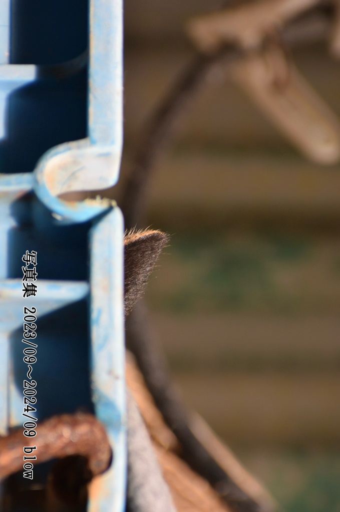 写真集2024(ZIP)