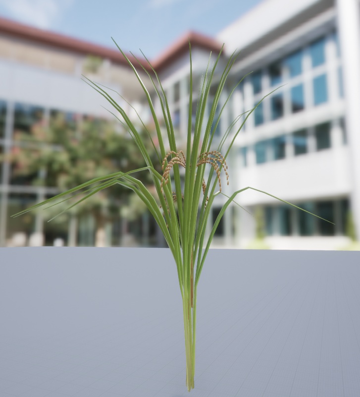 稲のような植物の3Dモデル